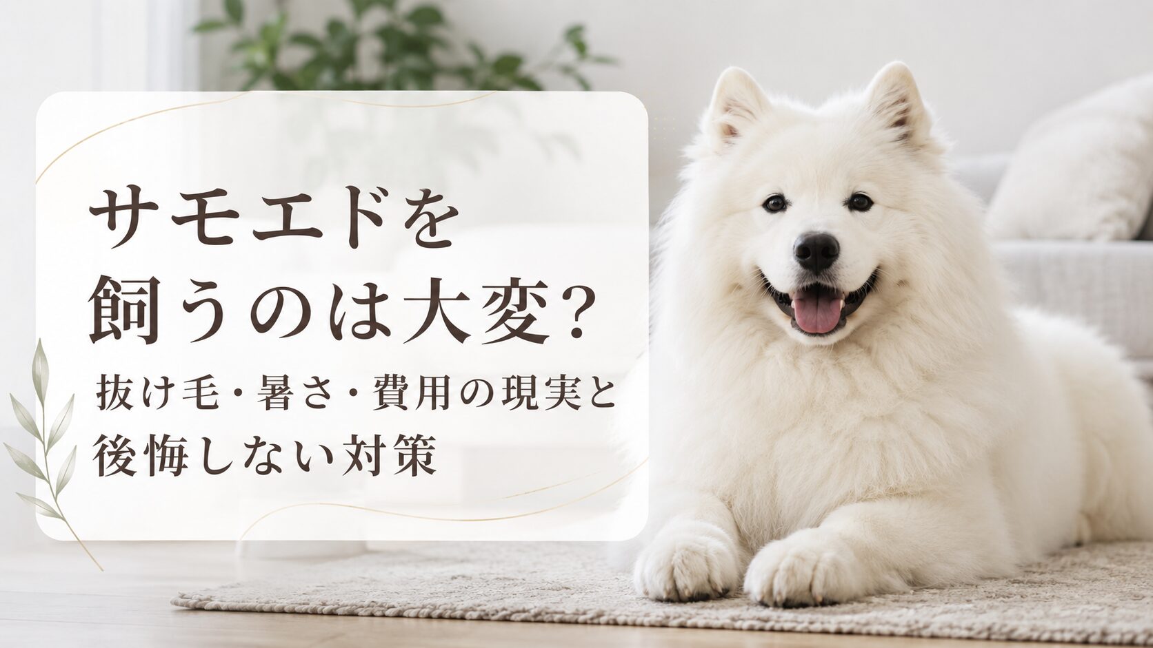 サモエドを飼うのは大変?抜け毛・暑さ・費用の現実と後悔しない対策